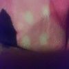 skylaavega23