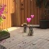 dmlove22