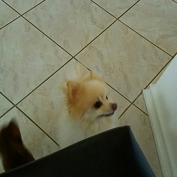 micky2