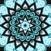 cimcimcamcam