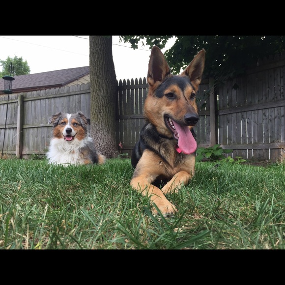 chanceandathena
