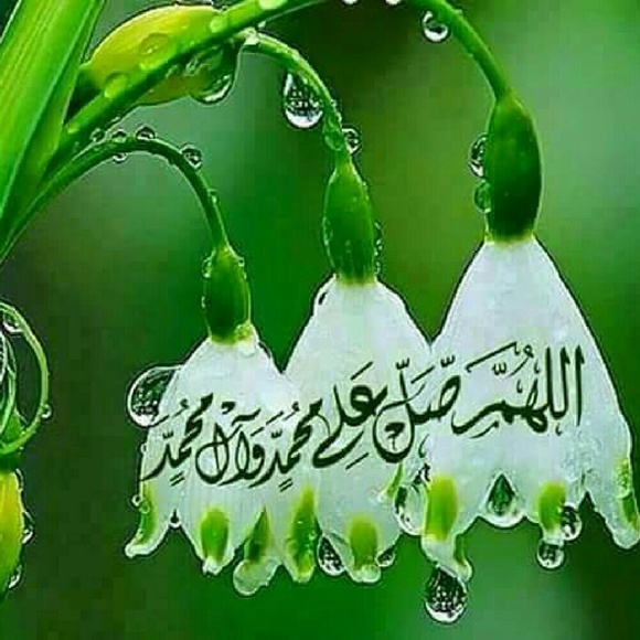 hanahaddad
