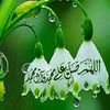 hanahaddad