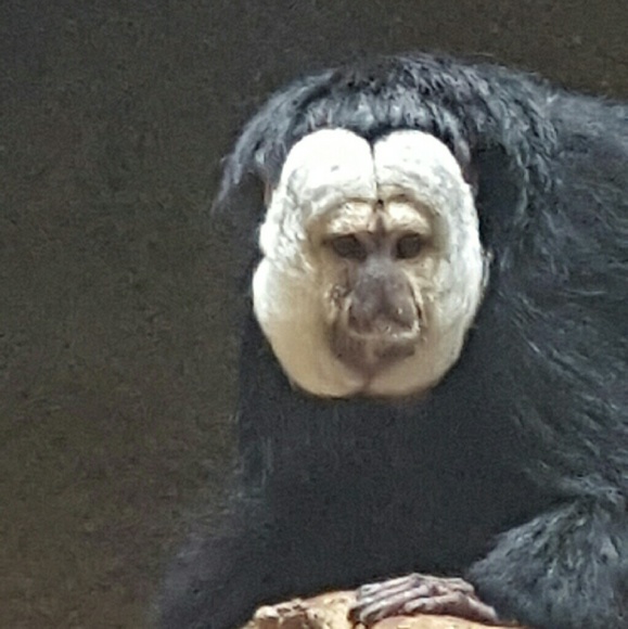 mickeyb33