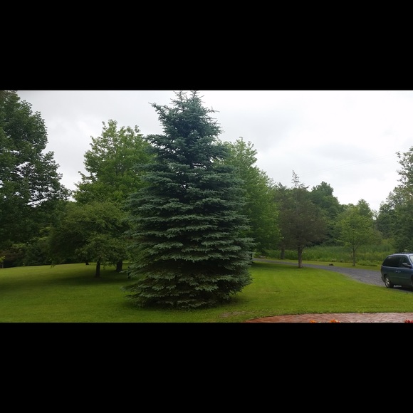 pfsoccer20
