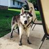 mebaldwin85