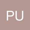 pursetti