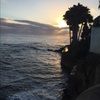 maddieb2424