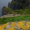 irish1356