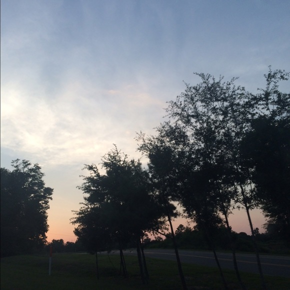 jayla_s