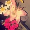 cathrynjane0314
