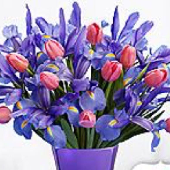 sha_jai