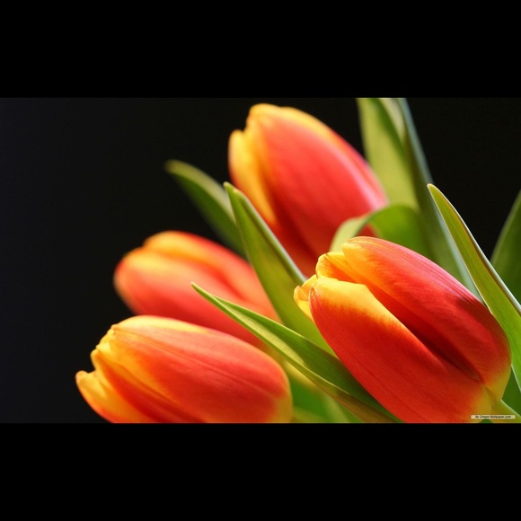 sally_258