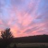 cheadrick_22