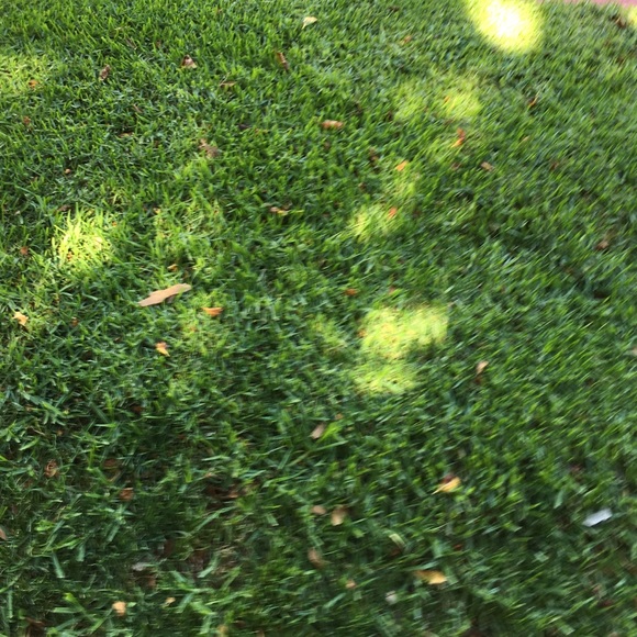 alejandrab11