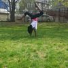chrystal_smith1