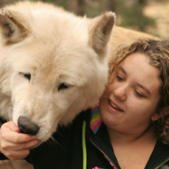 wolfsapphier100