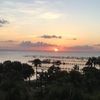 emilyemerson_