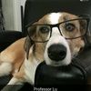 elyse529