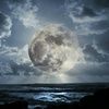 ladyluna80