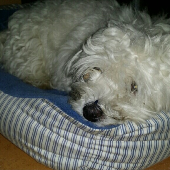scottibabee