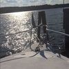 megwig29