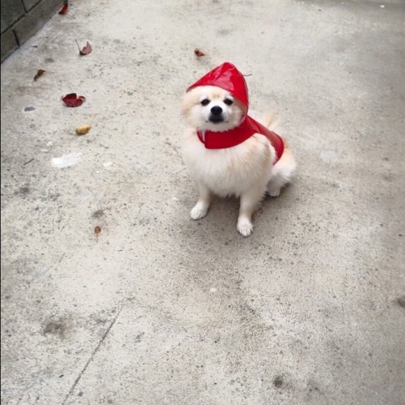 skipperl