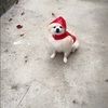 skipperl