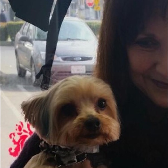 myyorkie