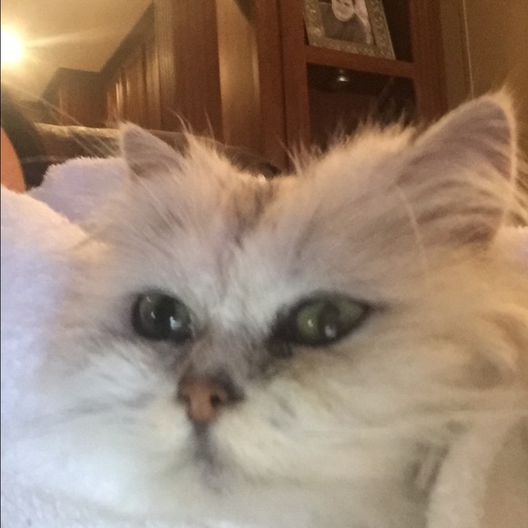 mytilly