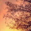sierrahdenise13