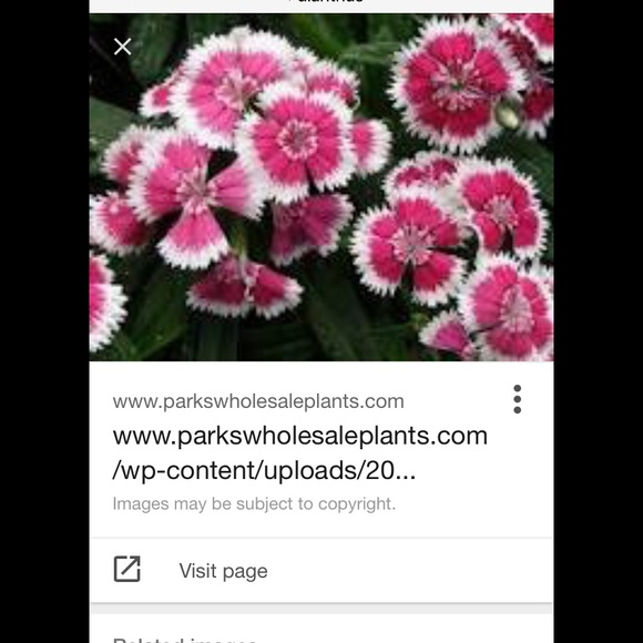 ssparks47