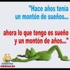 elysalinas7