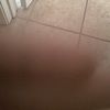 salsdacub73