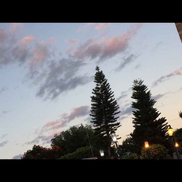 pl2911