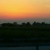 taylor_2020_13