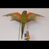 ticklebug