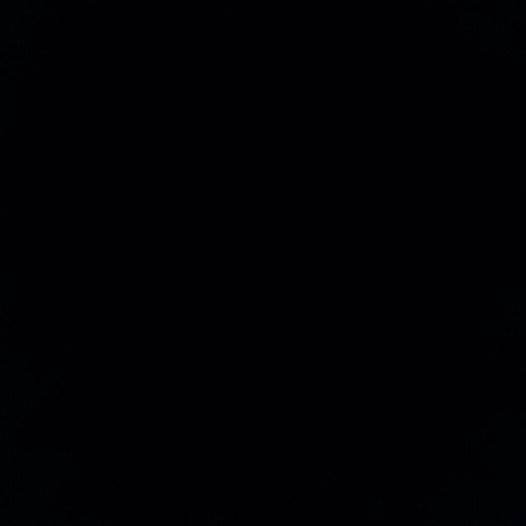 adinolfi11