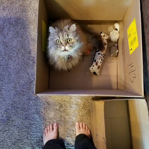 sbsparkie