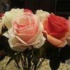 tandypink