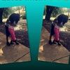 lasiaabug14