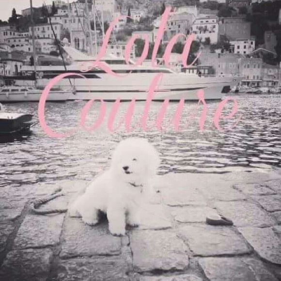 lolacouturepet