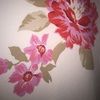 graciegyllie