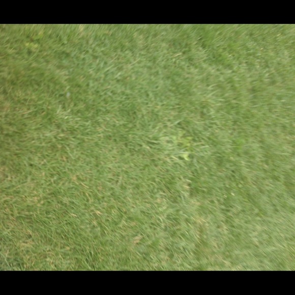 annie_watson2