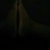 chasity6754