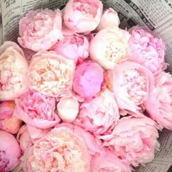 craftygal5