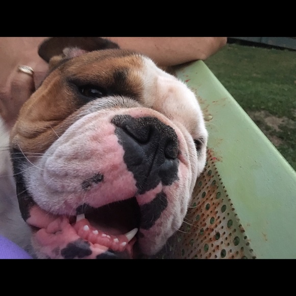 darlene_davis08