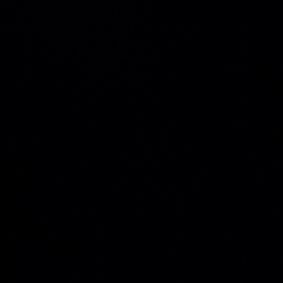 silvamaria_8584