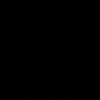 pjsjs