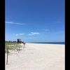tipsjaybird